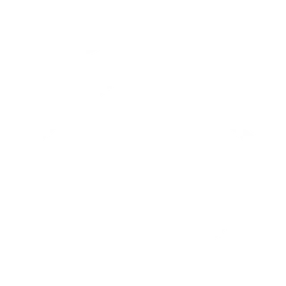 icoon huis